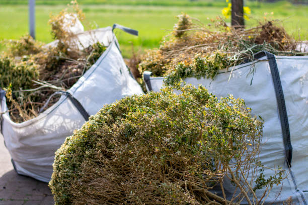 Best Appliance Removal Near Me  in New Buffalo, MI